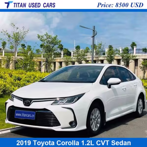 white color of the 2019 Toyota Corolla used car for sale