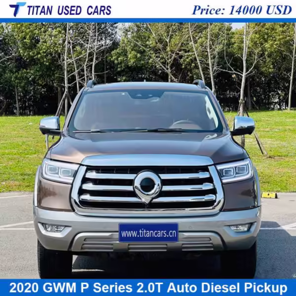 brown used GWM P Series 2020 from china