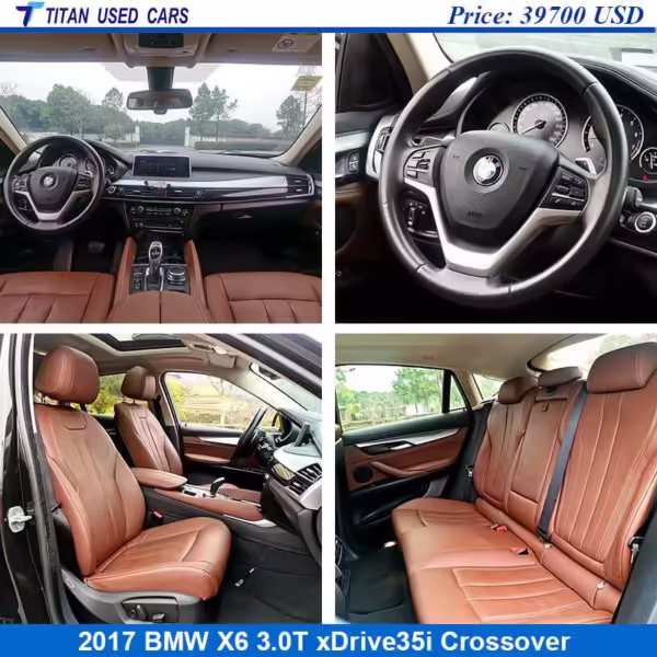 Used 2017 BMW X6 for Sale Interior